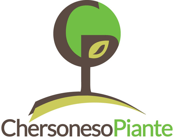 Chersoneso Piante